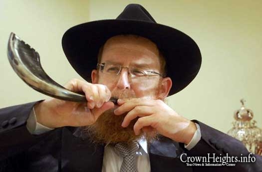 rabbi-yehuda-kantor-westport