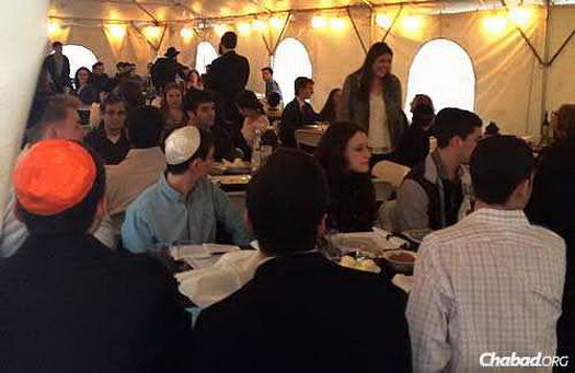 Champaign, Ill. Seder of Rabbi Dovid and Goldie Tiechtel, Chabad at the University of Illinois and Champaign-Urbana.