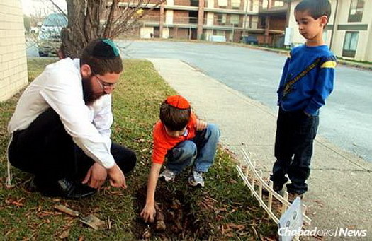 The rabbi plants daffodils with children as part of a memorial project.