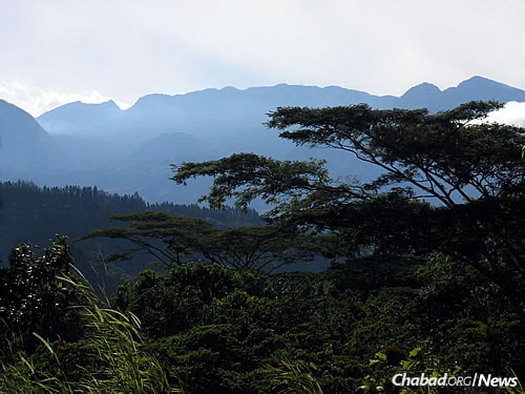 The lush hills of the Panamanian highlands near Boquete.