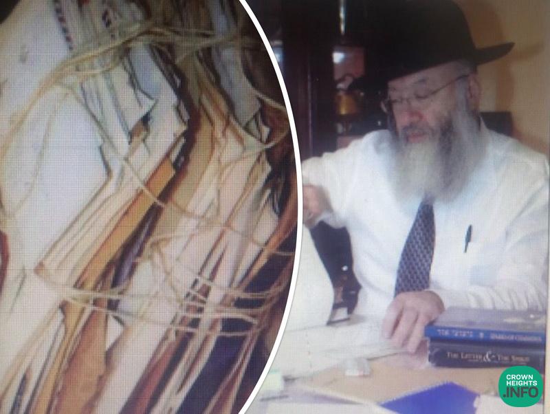 The Wonder Rabbi, An Essay From Rabbi Nissan Mindel With The Rebbe’s ...