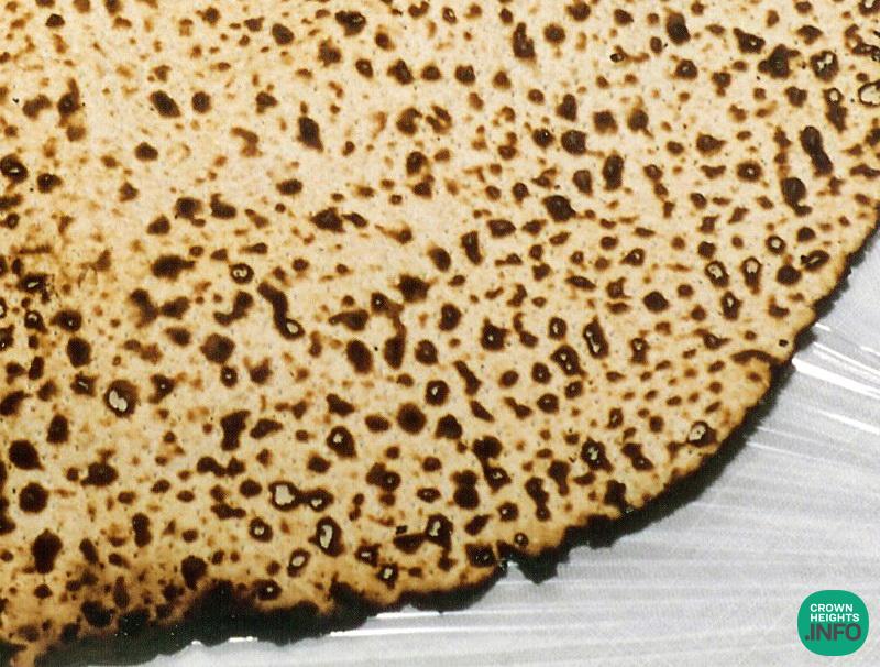 Weekly Story: The 7th Day of Pesach – Krias Yam Suf